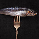 Grillée l'été, au four l'hiver, la sardine demeure le moins cher des poissons. A déguster sans modération!