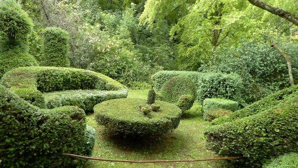 Salon de thé dans le jardin des topiaires des Jardins de Séricourt.
