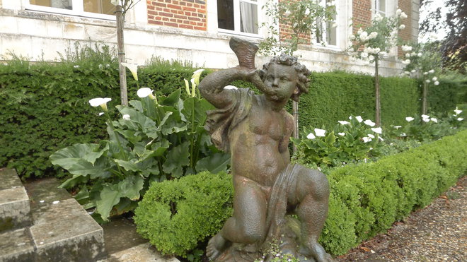 Arums et rosiers blancs en bordure du château de Maizicourt.