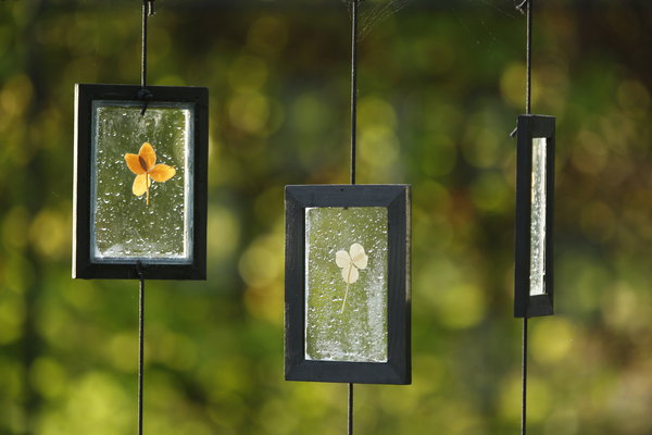 Porte-bonheur, création française de Claire Dugard, architecte, et Christelle David, architecte-paysagiste, présente une collection de trèfles à 4 feuilles cueillis aux quatre coins du monde est présentée sous cadre, à la manière d'un herbier précieux.