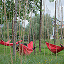 La Houblonnière  Small is beautiful de l'atelier du Grünberg, ou 250 pieds de houblon de 8 espèces différentes, s'accrochent aux lianes en fibre de coco.