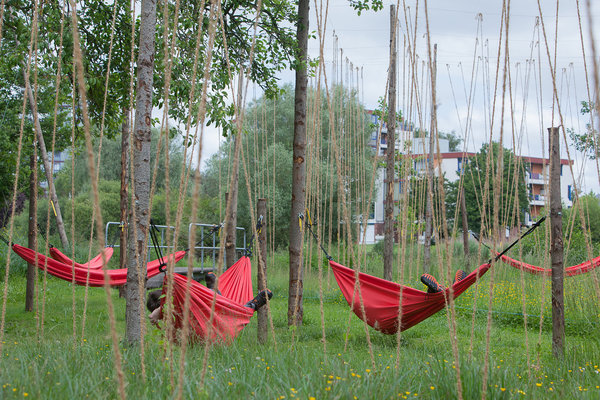 La Houblonnière  Small is beautiful de l'atelier du Grünberg, ou 250 pieds de houblon de 8 espèces différentes, s'accrochent aux lianes en fibre de coco.