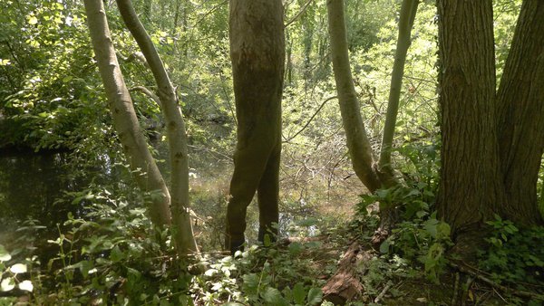 Waders de Stephanie Cailleau sont d'étranges personnages faits de cuissardes et de feutre laine, s'accrochent aux arbres du rieu.