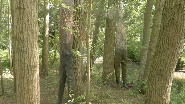 les Waders de Stephanie Cailleau s'accrochent aux arbres, silhouettes moitié poilues, moitié branchues elles s'étirent langoureusement aux branches des arbres.