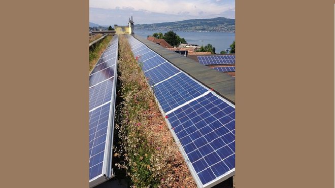 La biodiversité prend de la hauteur en prenant racine sur nos toits ! Bien plus que de simples carrés d’herbes, les toits accueillent toutes sortes de faunes et de flores plus colorées les unes que les autres.