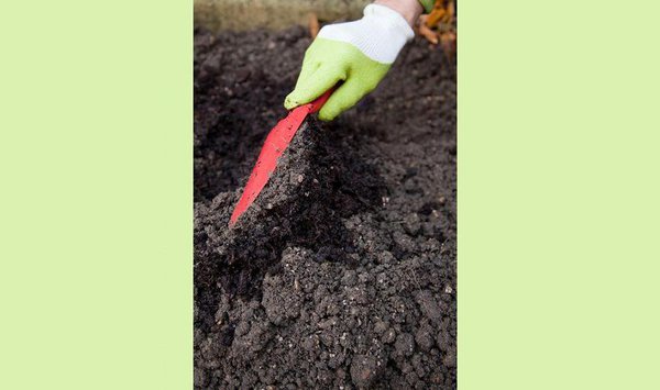 Etape 2 : mélangez ensuite la terre jardinière au terreau et à l’amendement (environ 50%  de terre jardinière, 30%  de terreau, 20% d’amendement).