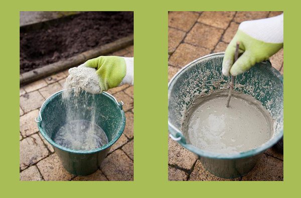 Etape 6 : préparez un pralinage naturel en mélangeant de la terre, de l’eau et de la bouse de vache ou un pralin en poudre acheté dans le commerce. Celui-ci permet de favoriser la cicatrisation des parties coupées de la plante.