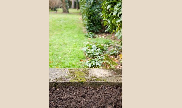 Avant : un jardin ne sera jamais aussi joli qu’avec des fleurs à l’arrivée du printemps. Il est donc l’heure de s’en préoccuper au début de l’automne, période de plantation des rosiers.