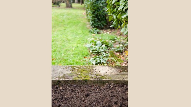 Avant : un jardin ne sera jamais aussi joli qu’avec des fleurs à l’arrivée du printemps. Il est donc l’heure de s’en préoccuper au début de l’automne, période de plantation des rosiers.