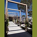 En devenir, une treille fleurie mêlera bientôt roses et vignes dans l’allée qui réunit le pool house et le restaurant. En devenir, une treille fleurie mêlera bientôt roses et vignes dans l’allée qui réunit le pool house et le restaurant.