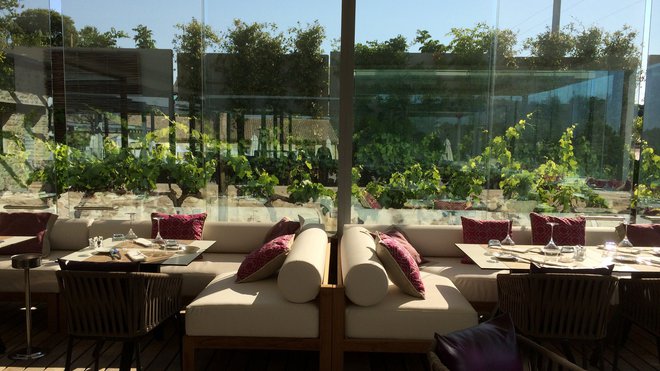 Les murs transparents du restaurant jouent avec la lumière et la végétation environnante aux pieds desquels poussent les vignes.