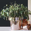 Fidèle aux méthodes historiques de fabrication de Skultuna, Monica Förster est venue avec une collection de cache-pots réalisés grâce procédé ancestral de métal tourné. Design 2013, version cuivrée 2015.