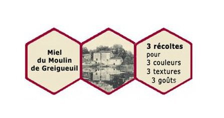 Les ruches de Greigueuil du début de l’aventure.