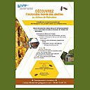 Une fiche qui résume bien la pédagogie que Diane de Saint-Marc veut transmettre.