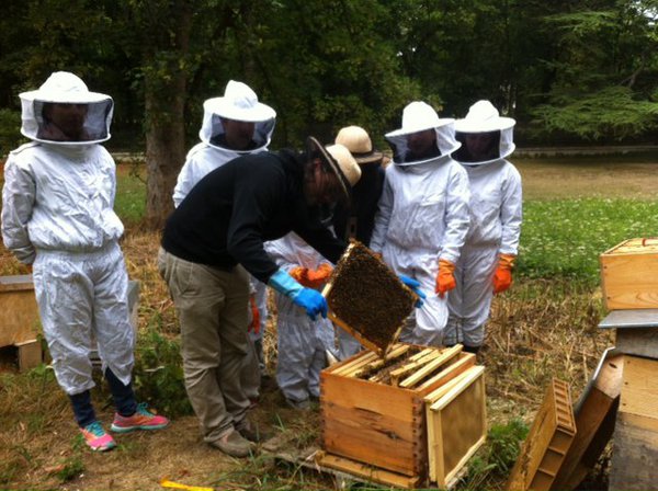 Cours sur les abeilles à la Malmaison.