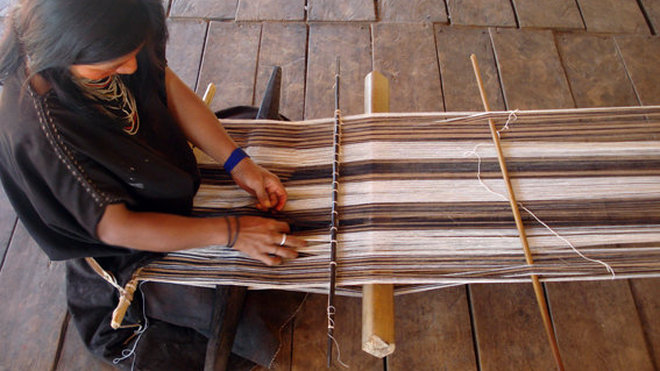 Les Ashanincas tissent du coton décoré de bandes verticales en couleurs naturelles ce sont les rares indiens du Brésil à pratiquer le tissage.