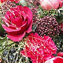 Parce qu’il n’y a pas que les roses qui ont le droit d’être rouges, Rouge tout rouge c’est le concept original de fleurs variées et rouges toute l’année, par Christian Tortu, Dani et Agnès b.