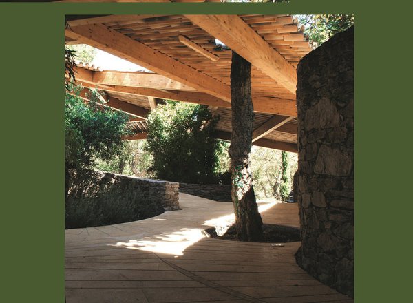 Par respect pour la nature, les arbres du terrain existant sont conservés, quitte à trouver des arrangements avec l’architecture.