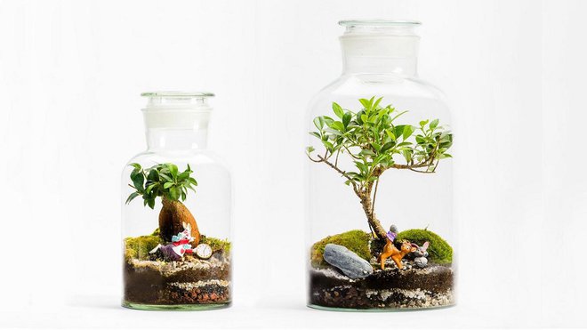 A l’occasion de son premier marché aux fleurs, Disneyland Paris s’est associé à Green Factory pour proposer deux créations végétales poétiques et uniques ; chaque objet végétal est réalisé à la main et se compose d’un arbre miniature dominant un petit monde sous verre, un écosystème capable de s’épanouir de manière quasi-autonome.