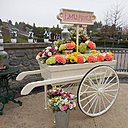 Pour la première fois, Disneyland crée pour le printemps un marché aux fleurs pour poursuivre la fête printanière chez vous. Vous y trouverez des bouquets, des écosystèmes sous cloches ainsi que des mini-topiaires.