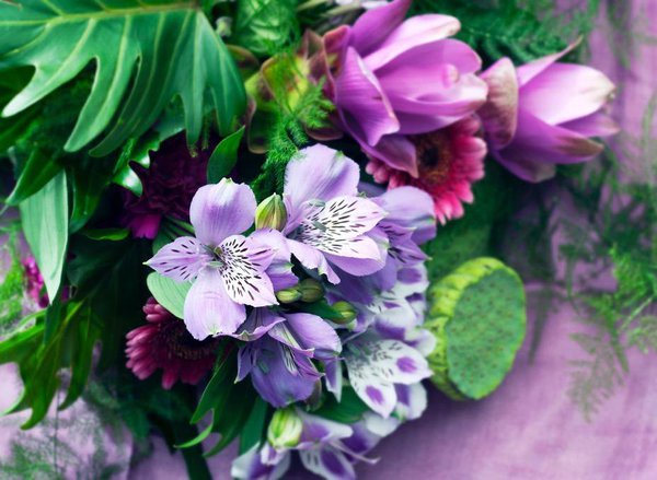 L’alstroemeria symbolise l’amitié durable. C’est donc un cadeau idéal pour confirmer une belle amitié. Les six pétales de l’alstroemeria revêtent tous de l’importance et signifient à la fois compréhension, humour, patience, compassion, énergie et respect. À chacun de décider quelle signification attribuer à quel pétale.