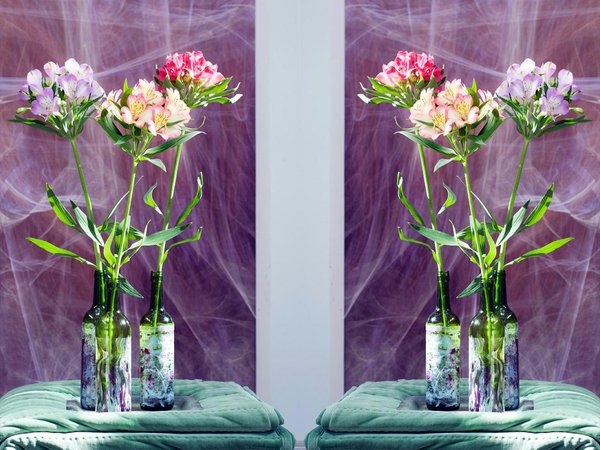 Avec ses fleurs à motifs et ses couleurs éclatantes, ses allures de papillon et son impressionnante tenue en vase, difficile de lui résister ! Ses fleurs groupées en bouquets sont portées par une haute tige dressée : elles sont du meilleur effet dans les massifs, les bordures, les pots de jardin ou les bouquets.