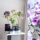 Les noms des fleurs varient selon les régions. Carl von Linné est le premier à avoir l’idée de nommer scientifiquement chaque plante, bases du système moderne de la nomenclature binominale. L’alstroemeria est nommée ainsi en hommage à celui qui l’a découverte, le naturaliste Suédois Alstroemer.