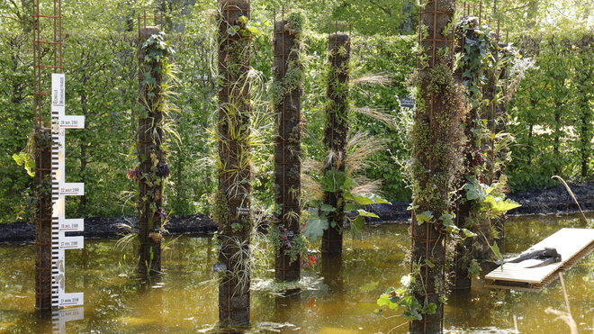 Néo-Noé est une installation paysagère inspirée des parcs mytilicoles. Les tuteurs végétalisés dessinant le paysage sont des filtres permettant de dépolluer l’eau et de nourrir les plantes, grâce au principe de phyto-épuration associé au système hydroponique. Création française de Thierry Dupeux, architecte, Alexandre Martinet, paysagiste, Julien Guénéguès, architecte DPLG, Anaïs Moureau, designer et Christian Piel, urbaniste et hydrologue.