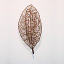 Feuille de ville Paris mars 2015. Erable, hêtre, hêtre quartier, noyer, redgun, 1m x 45 cm. Nathalie Auzépy,