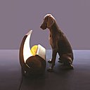 Corps en laiton pour une source de lumière indirecte, la lampe Escargot est une édition limitée, création le Corbusier.