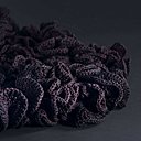 Gros plan sur la tapis fleur avec fil violet ponctué de rouge contenant différentes matières et fibres.