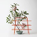 Designerbox n° 11 : Babylone est un accessoire de table ou de bureau polyvalent pour poser une plante grimpante, des dossiers, une tasse…. En fil d’acier laqué orange (L 26 x P 9,5 x H 20 cm).  Création Harri Koshinen.