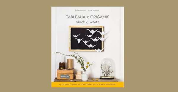 Tableaux d’origami Black & White de Didier Boursin aux Editions Dessin & Tolra 15,95 €