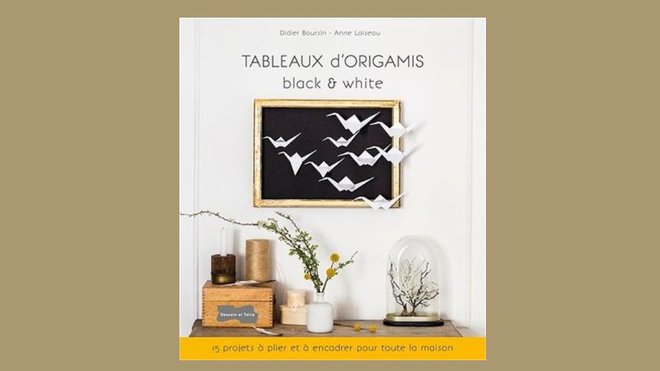 Tableaux d’origami Black & White de Didier Boursin aux Editions Dessin & Tolra 15,95 €