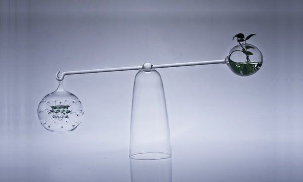 Calderito, soliflore, en hommage aux mobiles de Calder, qui reste en équilibre grâce au poids de l’eau. Création Marianne Guedin, 2011.