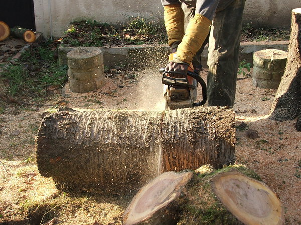 Etape 9 : Découper les tabourets à la tronçonneuse dans la partie du tronc découpée préalablement et réservée à cet usage. Une hauteur d’assise de 45 cm est recommandée.