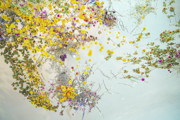 Présentée sous l’auvent des écuries, l’installation Le jardin suspendu de Rebecca Louise Law où chaque élément frais ou sec est cousu individuellement pour durer indéfiniment. « Les fleurs vivantes bougent d’une manière exquise à travers les étapes naturelles de la détérioration, elles se fanent, se décolorent et sèchent ».