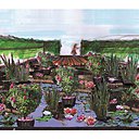 Les belles eaux dormantes, un hommage aux roses dans tous leurs états et confrontées à d’autres floraisons. Réalisation de Sylvestre Lieutier, architecte paysagiste, France.