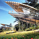 Le complexe Kings Forest à Fez, au Maroc propose des maisons de repos et 3 typologies de chalets, dont le concept VIP Leaf développé horizontalement comme une feuille qui croit dans la clairière, en porte-à-faux au-dessus du paysage. Dans ces trois chalets, les résidants ont le sentiment d'être seuls, sur la proue d'un navire, face au grand spectacle de la nature et des montagnes.