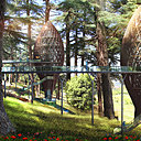 A Fès, au Maroc, dans la forêt peuplée de rares cèdres de 400 ans, les 4 chalets Nest Kings Forest font partie d’un complexe de maisons de repos permettant de vivre des journées entières dans les arbres et de dormir dans un nid comme un oiseau.