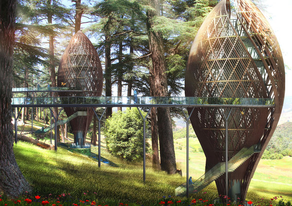 A Fès, au Maroc, dans la forêt peuplée de rares cèdres de 400 ans, les 4 chalets Nest Kings Forest font partie d’un complexe de maisons de repos permettant de vivre des journées entières dans les arbres et de dormir dans un nid comme un oiseau.