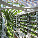 Au cœur du nouveau Caire, The Gate Heliopolis s’impose en Green Building. Il  associe en véritable osmose les arbres et le bâtiment, transformant la ville en un écosystème vertical, vert, dense et hyper-connecté. L'objectif principal de cette proposition urbaine est de sensibiliser l’humain à l'architecture écologique verte pour lutter contre le réchauffement climatique et offrir une terre meilleure à la génération future.