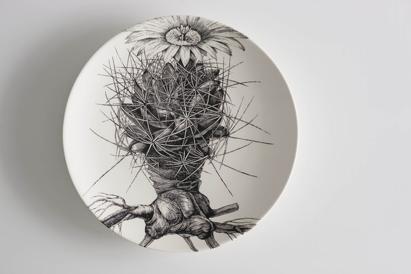 Hommage aux Manufactures de porcelaine de Chelsea, Tournai ou Copenhague, assiette peinte évoquant la lunette d’une longue vue ou d’un microscope à travers laquelle on découvrirait la vue rapprochée d’un spécimen de plante examiné. Mammillaria Macromeris, création Susan Hipgrave, 2014.