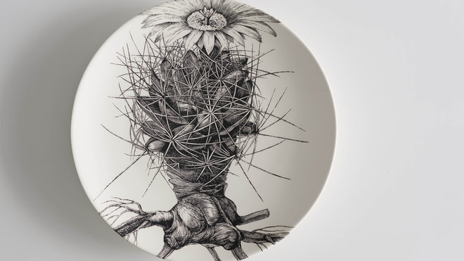 Hommage aux Manufactures de porcelaine de Chelsea, Tournai ou Copenhague, assiette peinte évoquant la lunette d’une longue vue ou d’un microscope à travers laquelle on découvrirait la vue rapprochée d’un spécimen de plante examiné. Mammillaria Macromeris, création Susan Hipgrave, 2014.