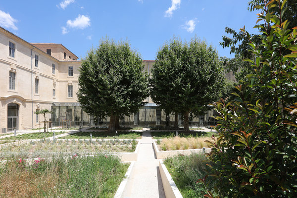 Le Campus Saint-Charles est doté d’un jardin recomposé en carrés de végétation et quadrillé en allées.