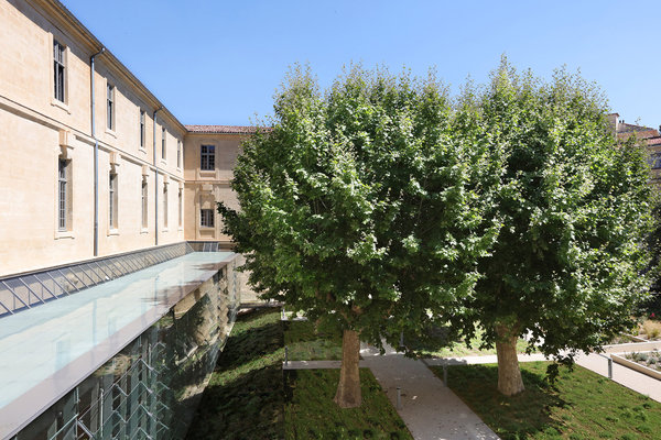 L’extension vitrée distribue tous les espaces du rez-de-chaussée.