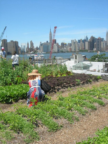 Pour évoquer la thématique des jardins en ville, des jardins suspendus sur les toits de Brooklyn à New-York.