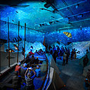 Dans l’exposition, un portail vers la lumière de l’ouest, les visiteurs parcourent les histoires locales et admirent les objets à l’intérieur d’un bateau qui les emmène dans un voyage à couper le souffle à travers le temps.