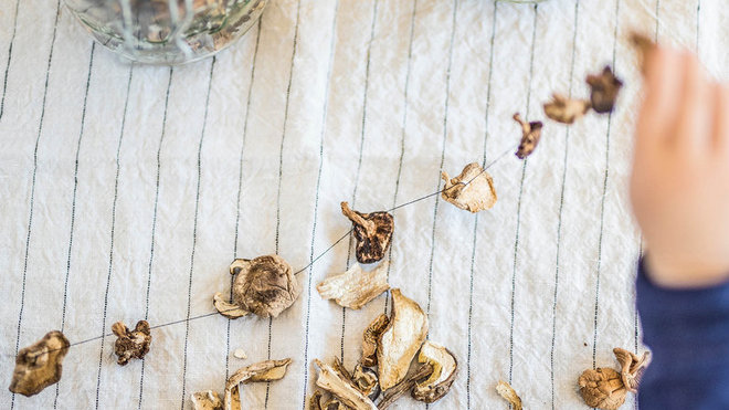 Le séchage est la méthode la plus simple pour conserver les champignons; à l'horizontale ou à la verticale cette guirlande de champignons sera du plus bel effet.