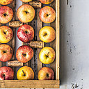 Saviez-vous que les bouchons de liège optimisent la durée de vie des pommes ?